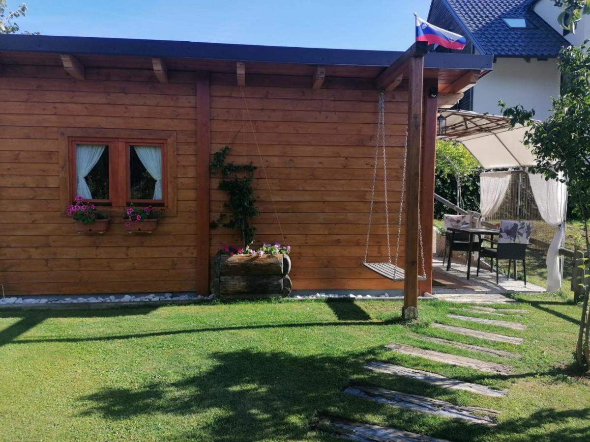 Vintgar Studio بليد المظهر الخارجي الصورة